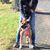 Renee Jeanine Ragno's profile image
