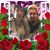 Pat Schut's profile image