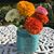 Trish Broadbent's profile image