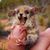Theresa Curtis's profile image