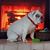 Marycarol Mc Cabe Picone's profile image