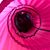Sarah Gilman's profile image