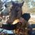 Dahnn Hout's profile image