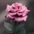 Carla Jones's profile image