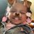 Marion Twoplusme Brown's profile image