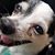 Rosette Zubiate Furby's profile image