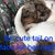 Kara Whetlow's profile image