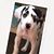 Yvonne Bruce Poteet's profile image