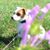 Cory McClain's profile image