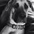 Connie Cardoza's profile image