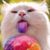 Debbie Stepp's profile image