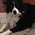 Debbie Yakish's profile image