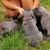 Jeani Stainsby's profile image