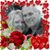 Susie McCracken's profile image