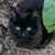 Deborah A. Kinsland's profile image