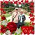 Maria Andersen's profile image