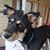 Melisa White Lapeyrouse's profile image