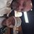 Donald Ray Johnson's profile image