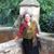 Isabel Vásquez's profile image
