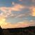 Sally Miller's profile image