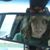 Deidre Randall's profile image