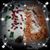 Cesar Garcia's profile image