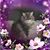 Roxanne Aceves's profile image