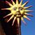 Romona Richard Horne's profile image