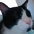 Sarah Soto's profile image