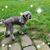 Diggsinia Willey's profile image