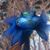 Heike Becker's profile image