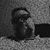 Gerry Shoulders II's profile image