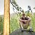 Matthew Burke's profile image