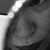 Alicia Zimmey's profile image