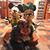 Susan Flynn-Mendez's profile image