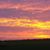 Jacqui Wilke's profile image