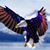 James T Birney's profile image