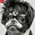 Jose Corona's profile image