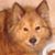 Quita Waldrop's profile image