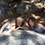 Janet Bainbridge's profile image