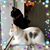 Yolanda Tovar's profile image
