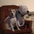 Amanda Fansler-DeLuca's profile image