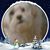Rosie Kennedy Berlinski's profile image