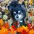 Darlene Kelly's profile image