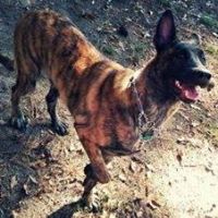 Nina Deyo- Virgil's profile image