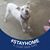 Heather Lynn Dohman's profile image
