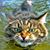 John Driskill's profile image