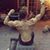 Muhammad Ahmad's profile image