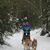 Debra Meese's profile image