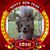 Denise Jones's profile image